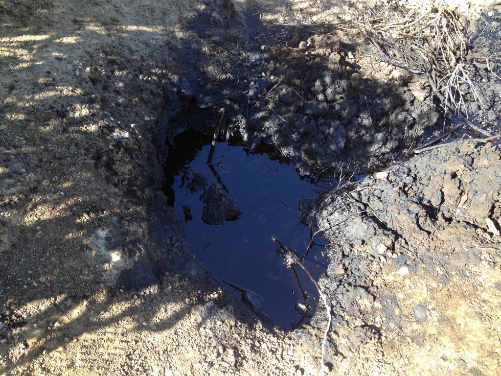 Oil Seep in Tapo Canyon