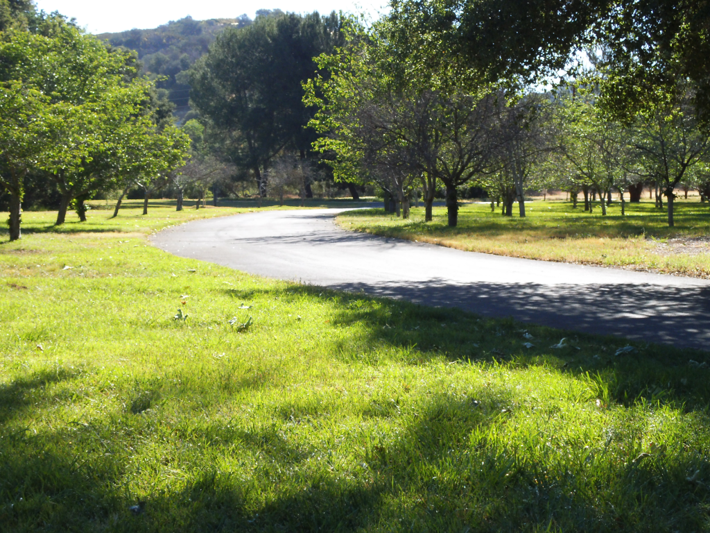 Landscape at King Gillette Ranch