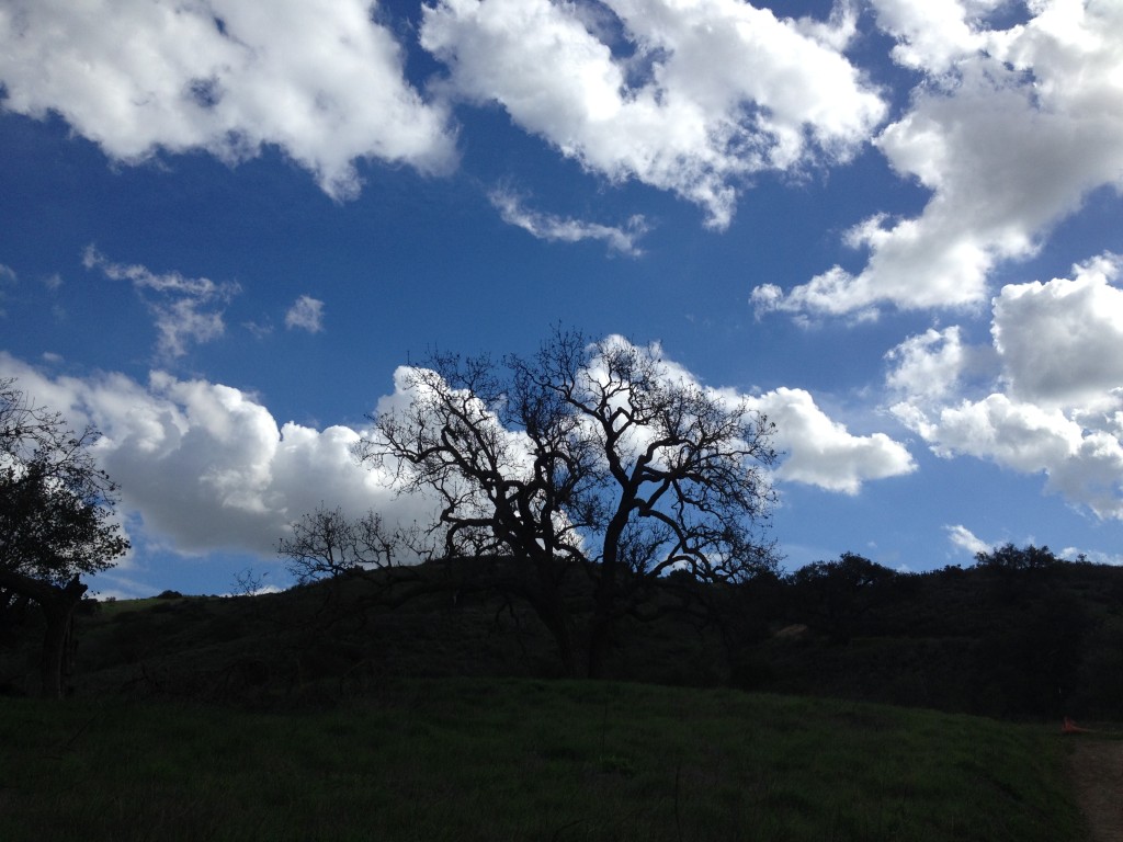 Landscape with Clouds