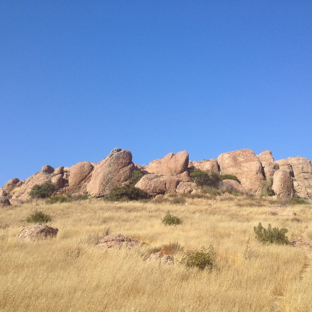 Rocky Conejo Landscape