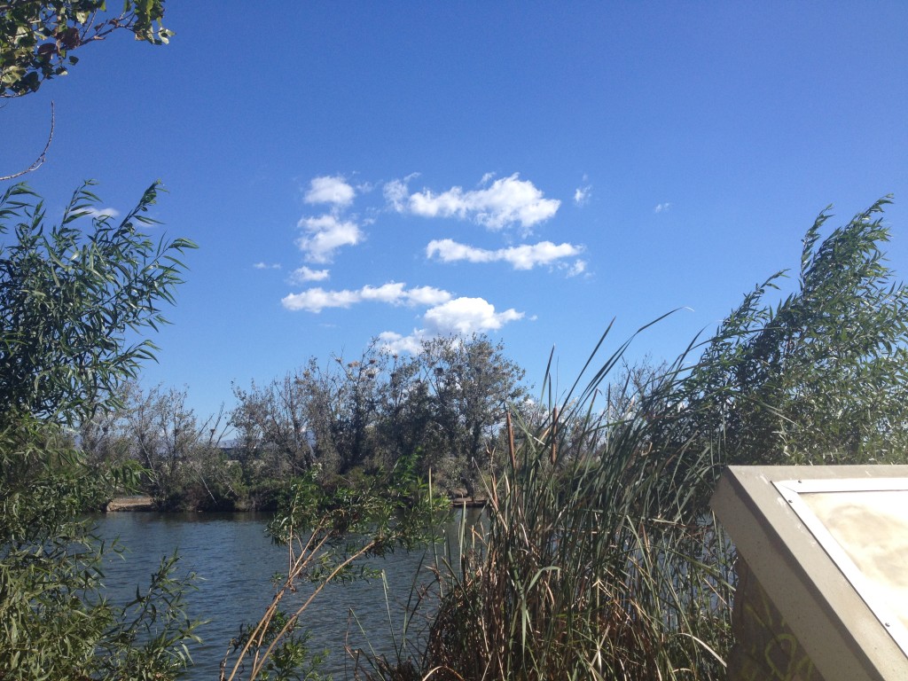 Cloud over Sepulveda Basin